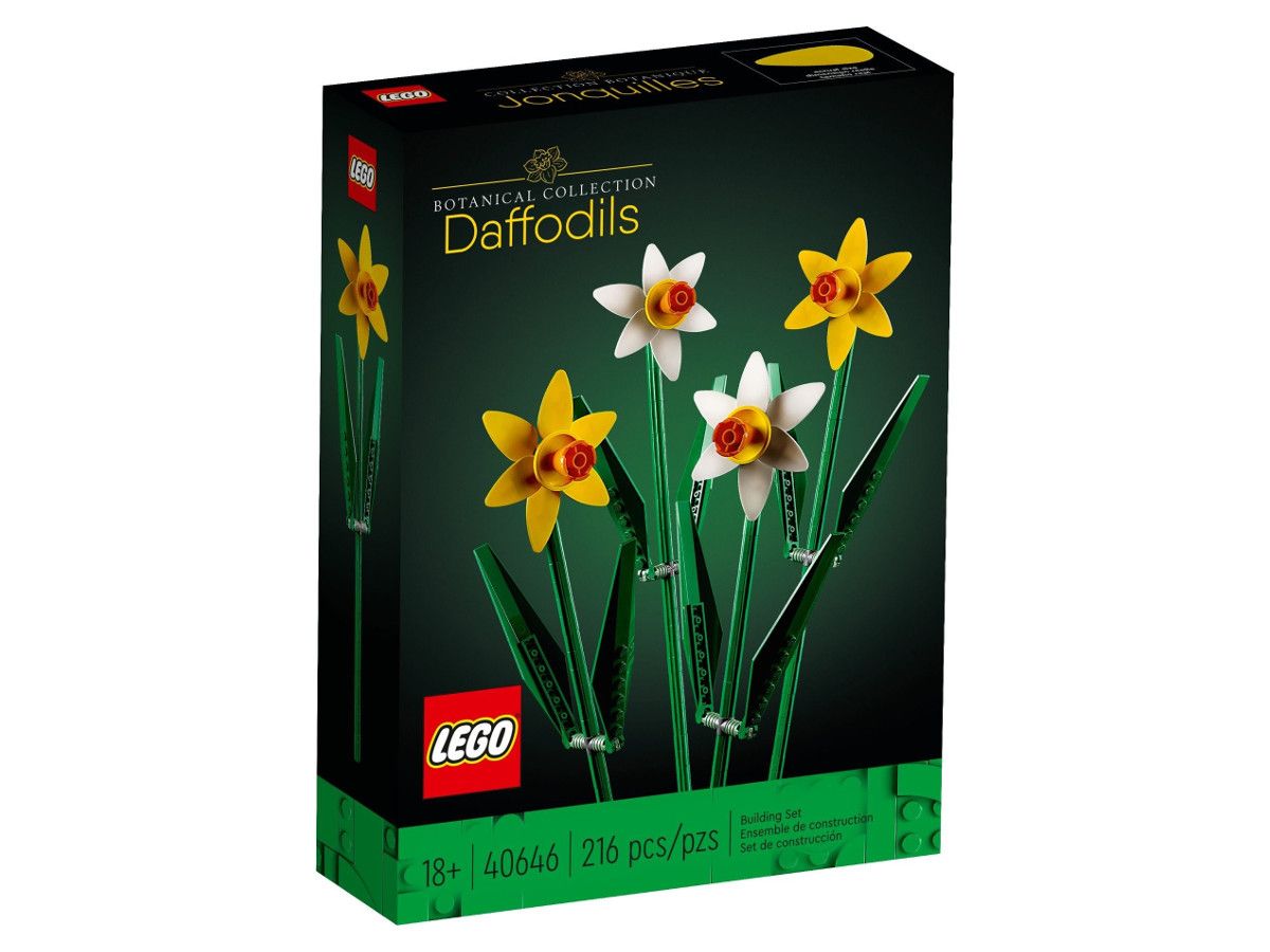 LEGO 40646