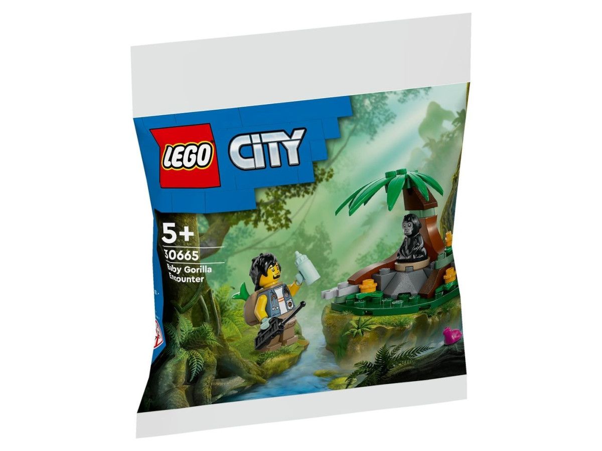 Lego-30665