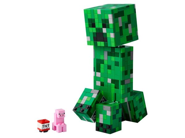 Lego 21276 c